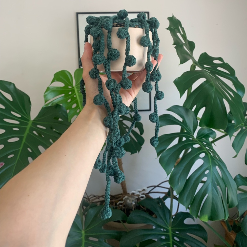 🫶🏼Handmade🫶🏼 Crochet House Plant